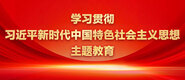美女挑逗大鸡鸡学习贯彻习近平新时代中国特色社会主义思想主题教育_fororder_ad-371X160(2)